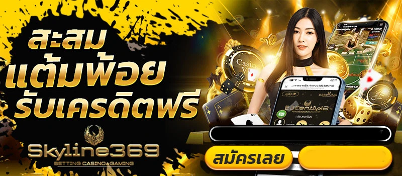 skyline369ทางเข้า